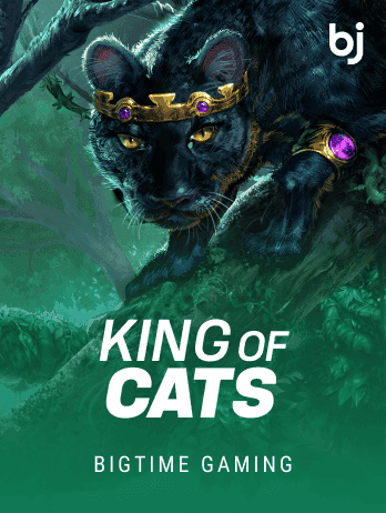 King of Cats screenshot